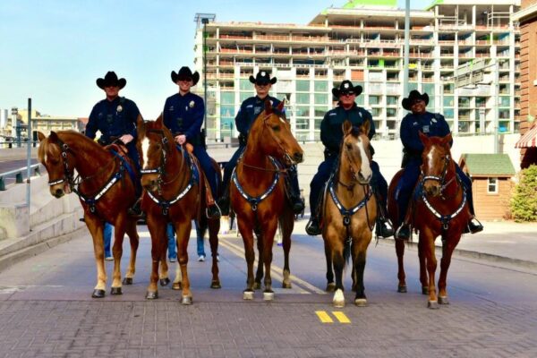 Denver Mounted Patrol